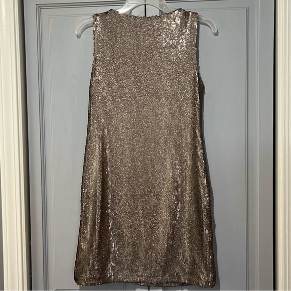 BB Dakota Champagne Sequins Dress - Picture 6 of 6